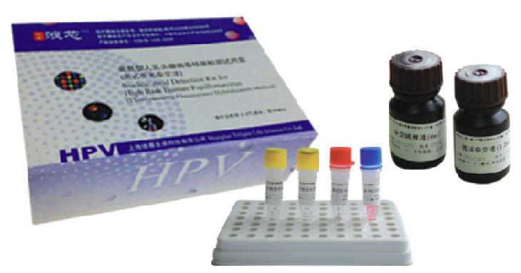 HPV-DNA-27全分型試劑盒