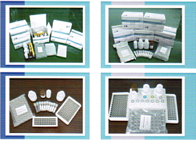 人表皮生長因子受體2（Her2/neu）檢測試劑盒