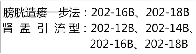 一次性使用無菌引流導管套裝（球囊型）