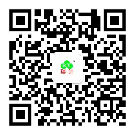 婦炎貼無菌貼牌代理加工