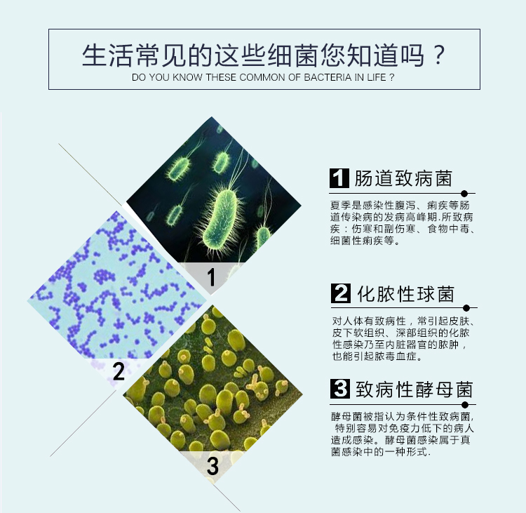 凈手消毒液（凝膠型）_05