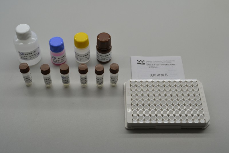 VEGF血管內(nèi)皮生長因子（化學(xué)發(fā)光法）