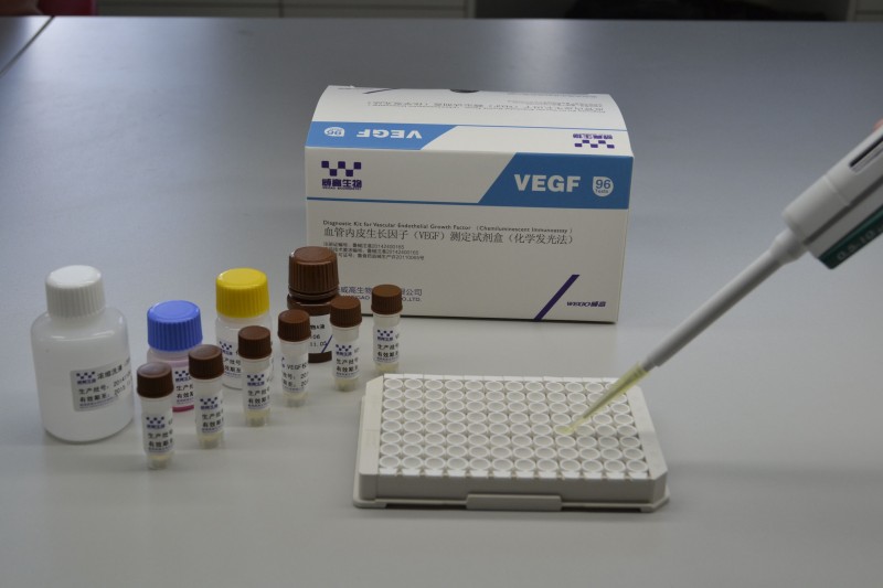 VEGF血管內(nèi)皮生長因子（化學(xué)發(fā)光法）