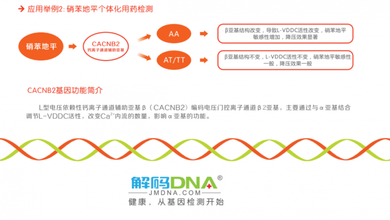 心腦血管個(gè)性化用藥基因檢測