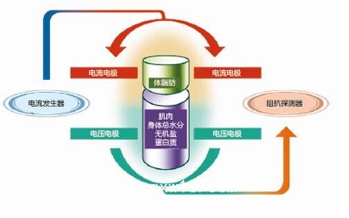 圖片關(guān)鍵詞