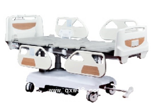 RS800八功能豪華電動床(ZT800)