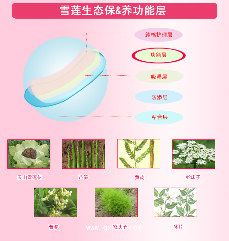 排毒養元貼定制，雪蓮貼OEM貼牌，貼膏生產廠家