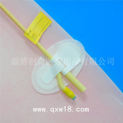 體表導管固定裝置