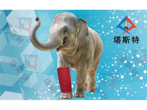 塔斯特高分子繃帶性?xún)r(jià)比高，強(qiáng)度高，重量輕，固化快