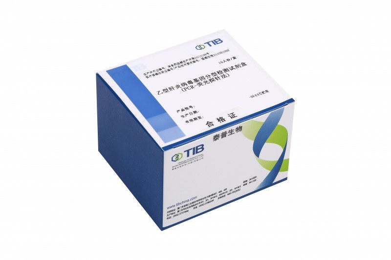 乙型肝炎病毒基因分型檢測試劑盒