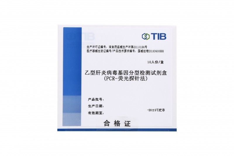 乙型肝炎病毒基因分型檢測試劑盒