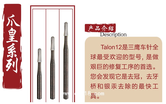 加拿大進(jìn)口三鷹車針Talon 12破冠車針