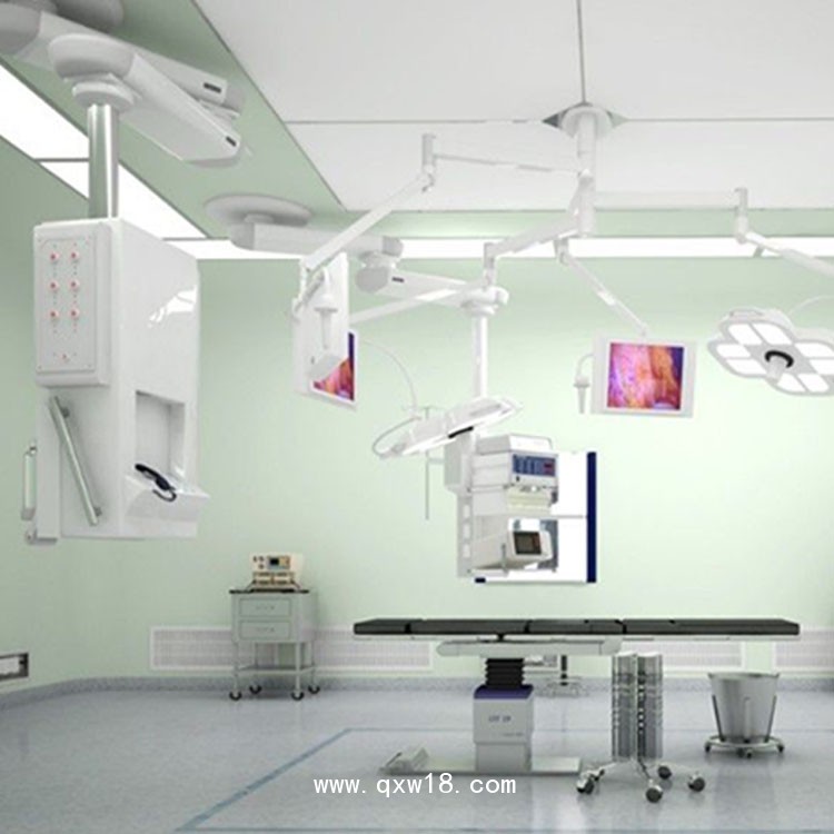 豪華設(shè)備帶 高端設(shè)備帶 進口設(shè)備帶