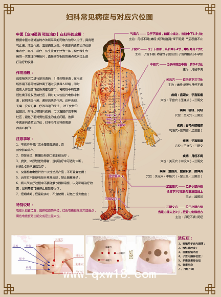 合正多功能數(shù)碼治療儀