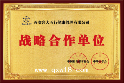 容大五行中醫(yī)綜合治療儀