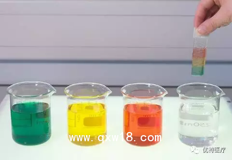 親水性纖維敷料