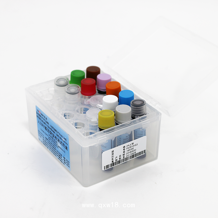 人EGFR 基因 突變檢測試劑盒