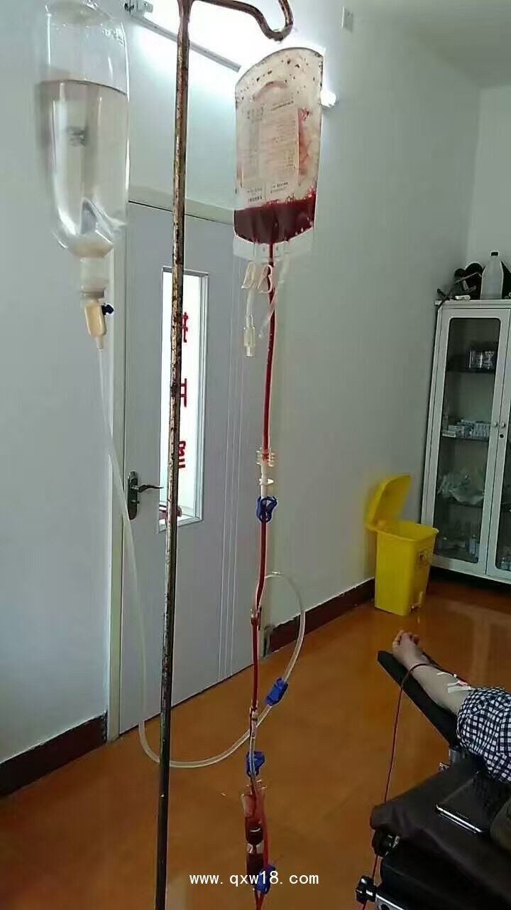 臭氧自體血血袋、萊士血袋、臭氧血袋廠家專供