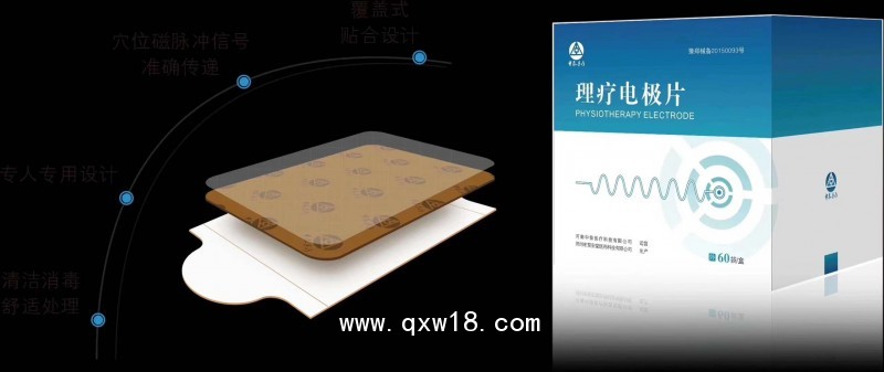 腦循環(huán)功能障礙治療儀