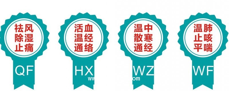 榮贏中頻治療儀 電腦中頻治療儀 中頻導藥儀