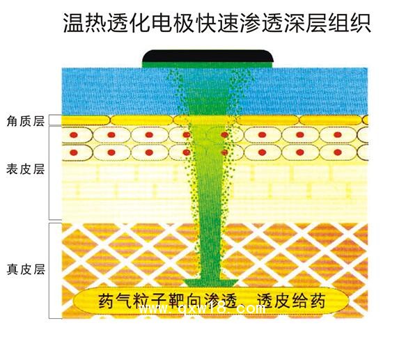 電腦中頻治療儀 全觸摸屏控制 新一代中藥離子導入設備