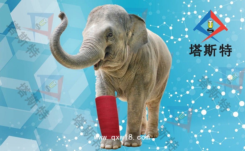 塔斯特外固定高分子繃帶