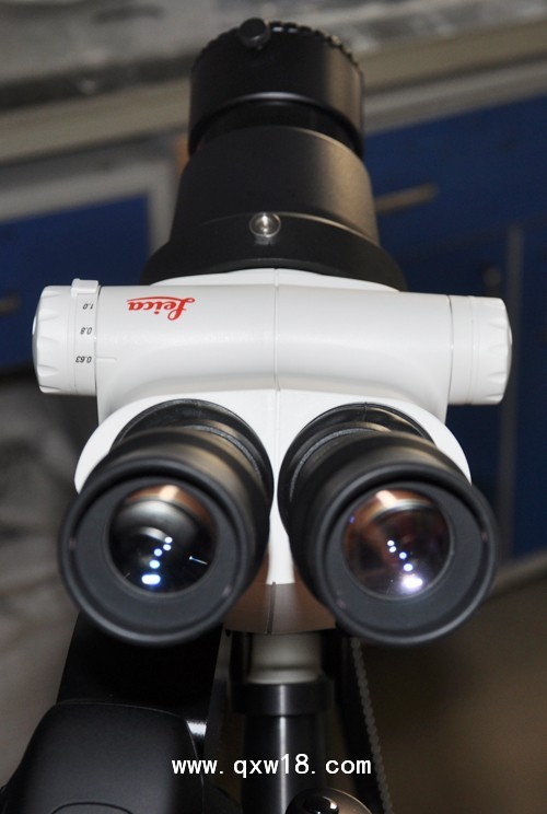 光電一體陰道鏡