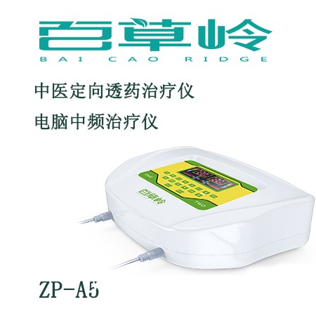 中藥離子導(dǎo)入治療儀-電腦中頻治療儀
