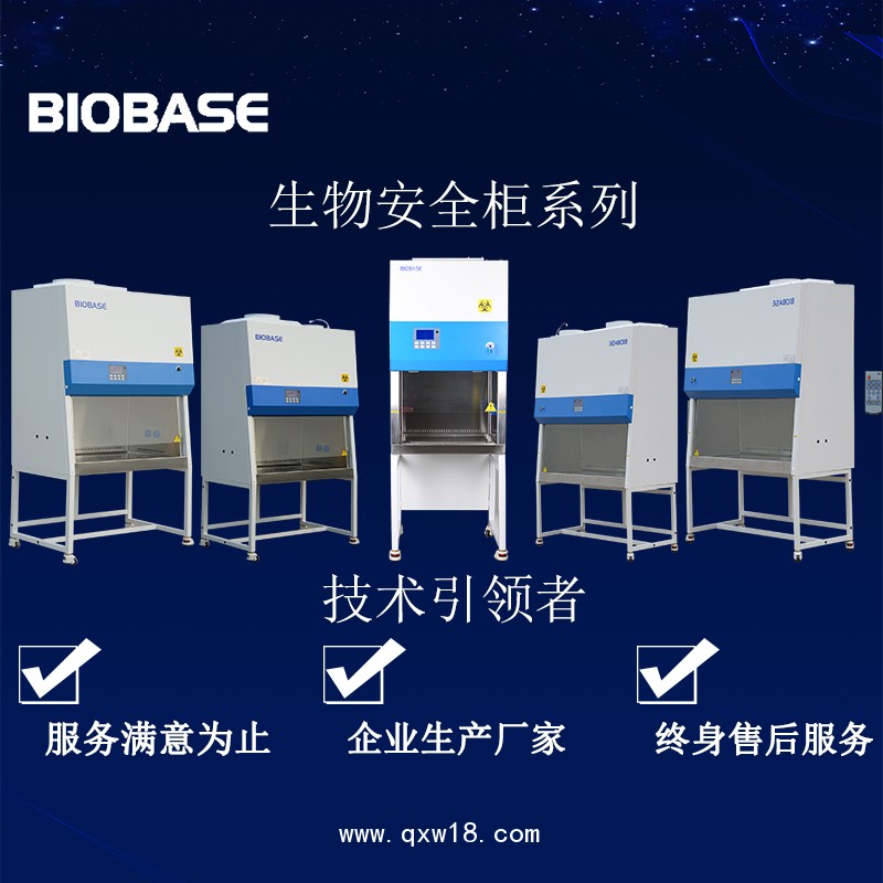 單人二級(jí)B2生物安全柜BSC-1100IIB2-X