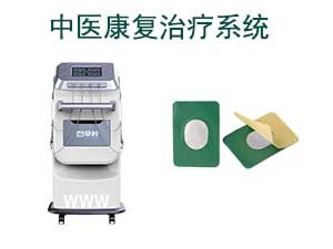 中藥離子導(dǎo)入電療儀