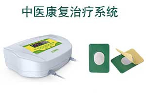 中醫(yī)定向透藥治療儀BCL ZP-A9四通道
