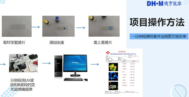 陰道微生物免疫熒光染色液