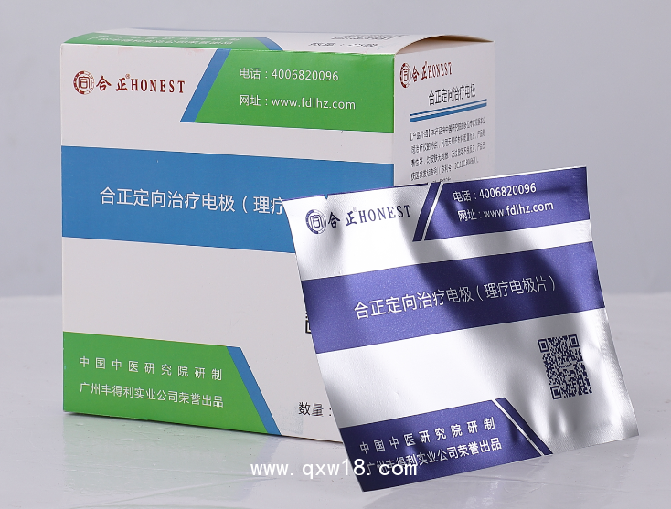 中醫(yī)定向透藥治療儀/中頻治療儀HZ-800立式