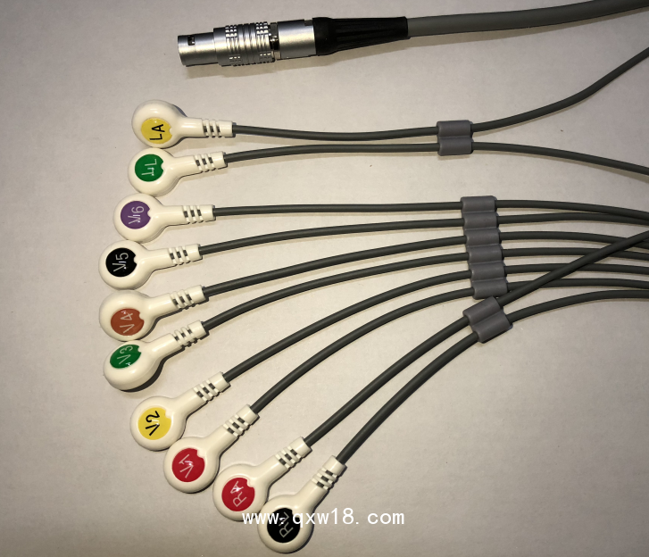 藍港動態(tài)導(dǎo)聯(lián)線,holter十二導(dǎo)動態(tài)心電線