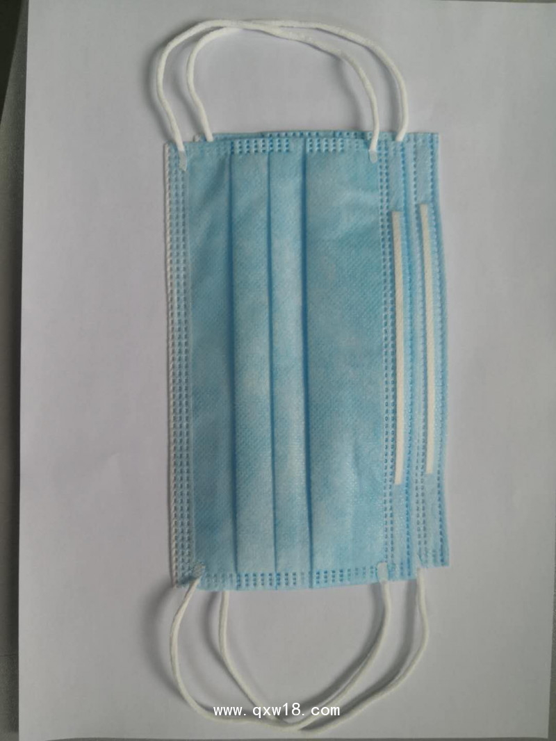 黑果花楸一次性防護(hù)口罩