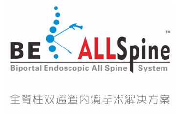 UBE 進口雙通道手術醫(yī)療器械 德國費格椎間空境