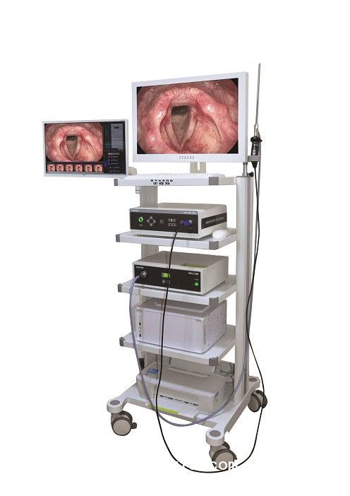 內(nèi)窺鏡攝像系統(tǒng)/圖文工作站/冷光源/攝像機(jī)/監(jiān)視器/儀器車