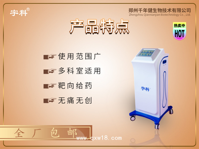 定向中藥離子導入儀