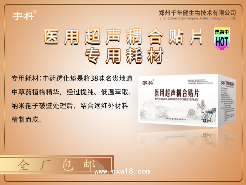 數(shù)碼多功能超聲波透藥治療系統(tǒng)