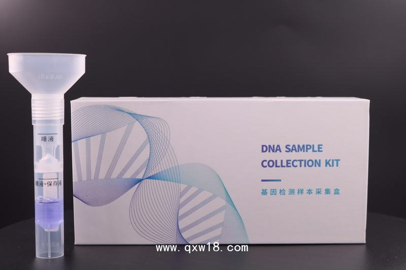 一體式唾液采集器