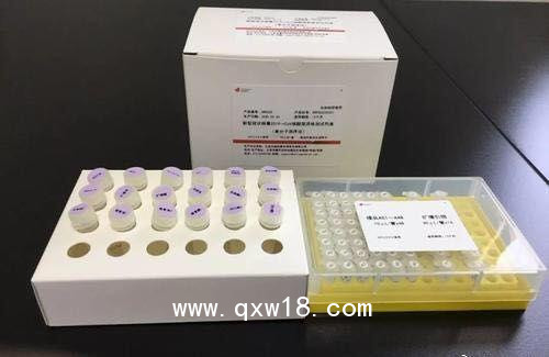 新型冠狀病毒2019-nCoV核酸檢測試劑盒（熒光PCR法）