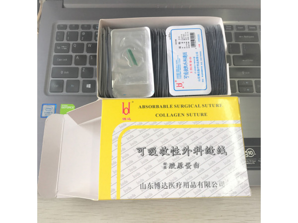 博達(dá)2cm長(zhǎng)膠原蛋白減肥穴位埋線