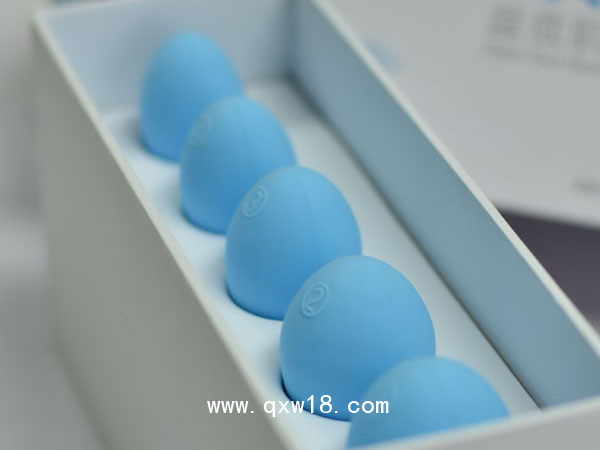 樂普盆底康復(fù)器 AM-51