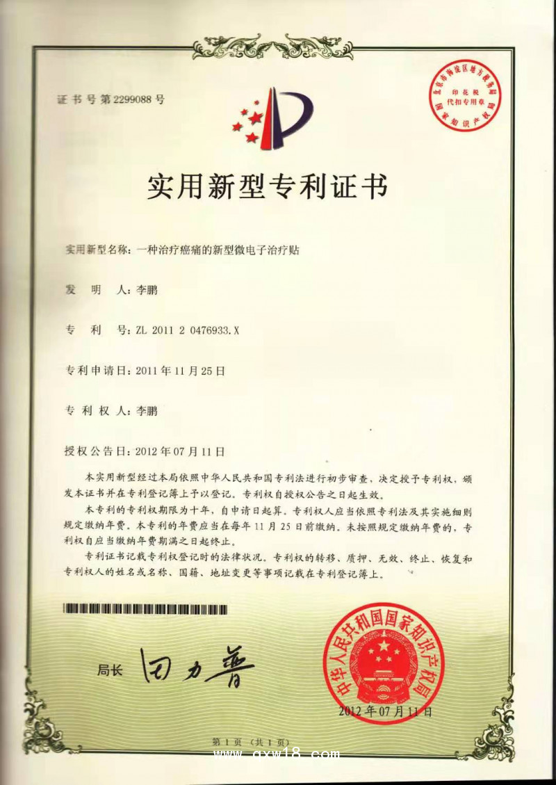 癌痛貼——消癌痛、消癌腫、排癌毒