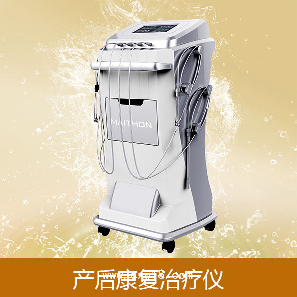 產后盆底刺激治療儀