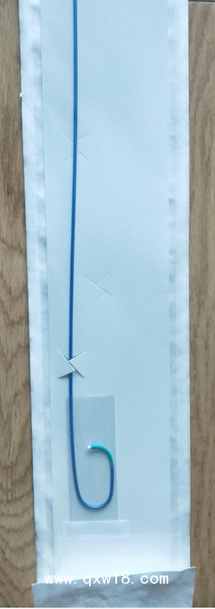 美敦力Medtronic指引導管6F /EBU/JR/JL