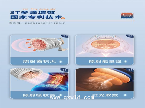 TDP+紅外雙效神燈LY-607C