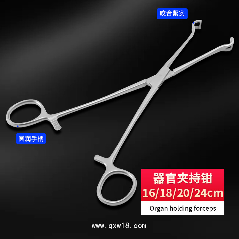 德國(guó)不銹鋼制成器官夾持鉗 基礎(chǔ)外科夾持鉗 無(wú)損傷夾持鉗醫(yī)用鉗