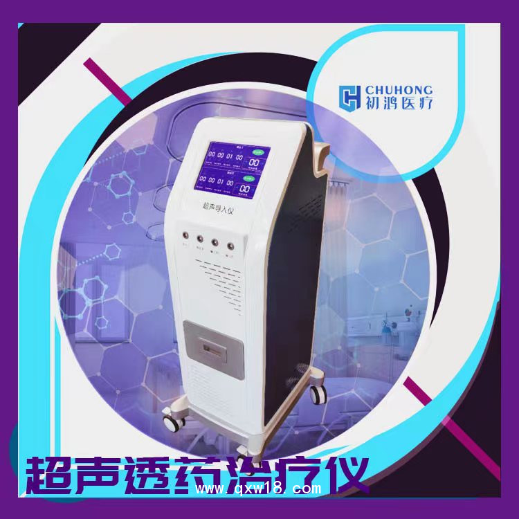 初鴻動(dòng)力溫控經(jīng)皮給藥治療儀YKX-CD