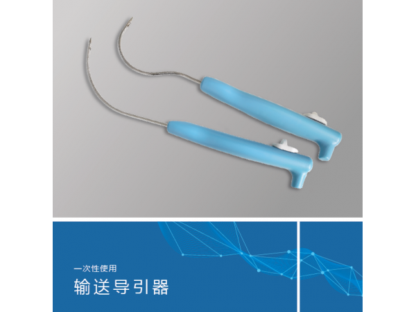 一次性使用輸送導引器